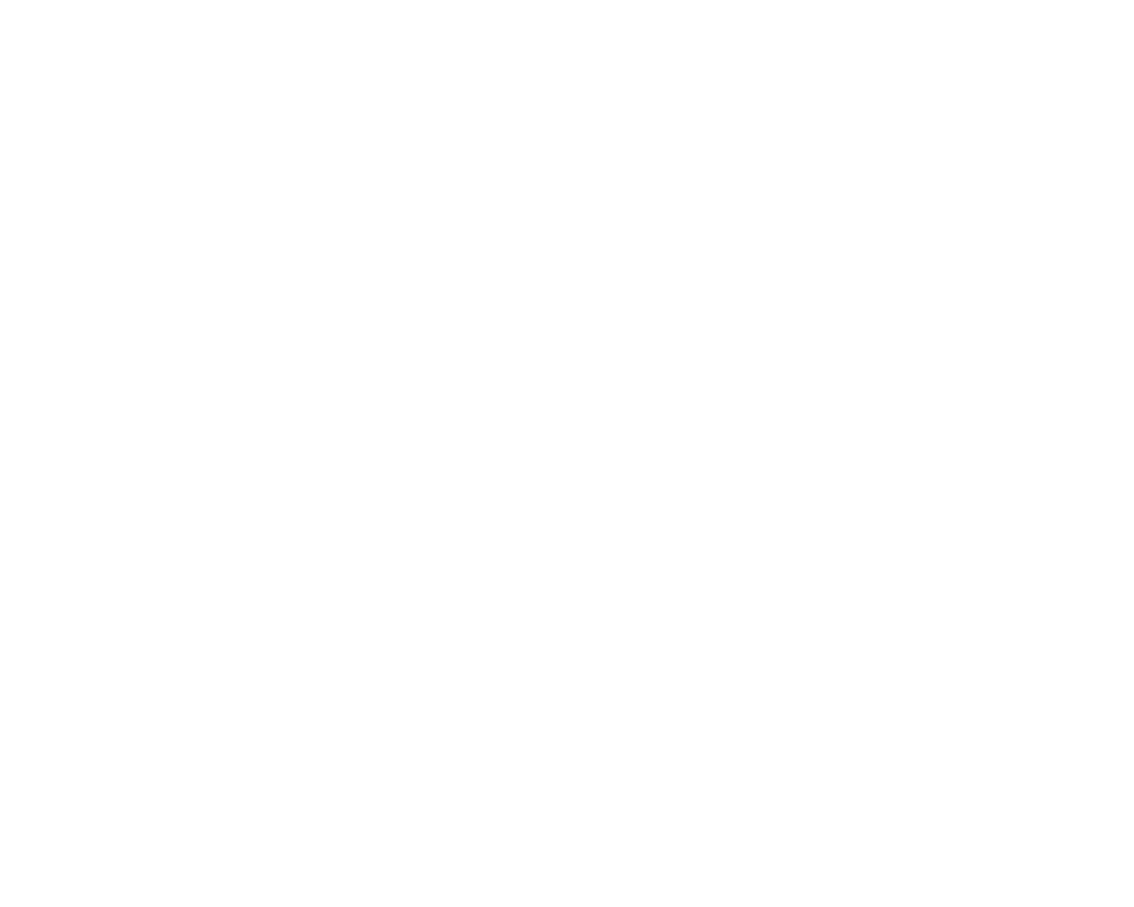 Sora — SORA LOGO-white (full)